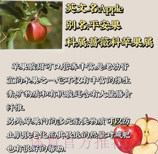 探索世界杯下注苹果全站的独特魅力 探索世界杯下注苹果全站的独特魅力
